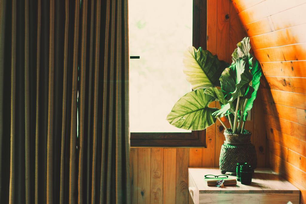 Chay Lap Farmstay Bo Trach Exteriör bild